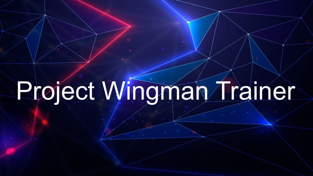 Project Wingman Trainer
